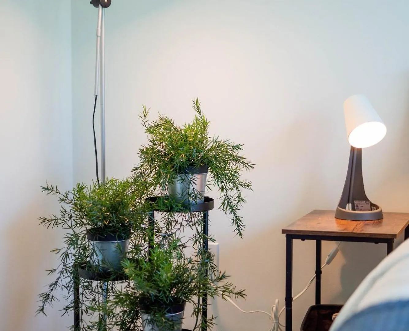 Modern 2Br Downtown Condo, Lakeshore, Exhibition Place, Fort York Toronto 0*,