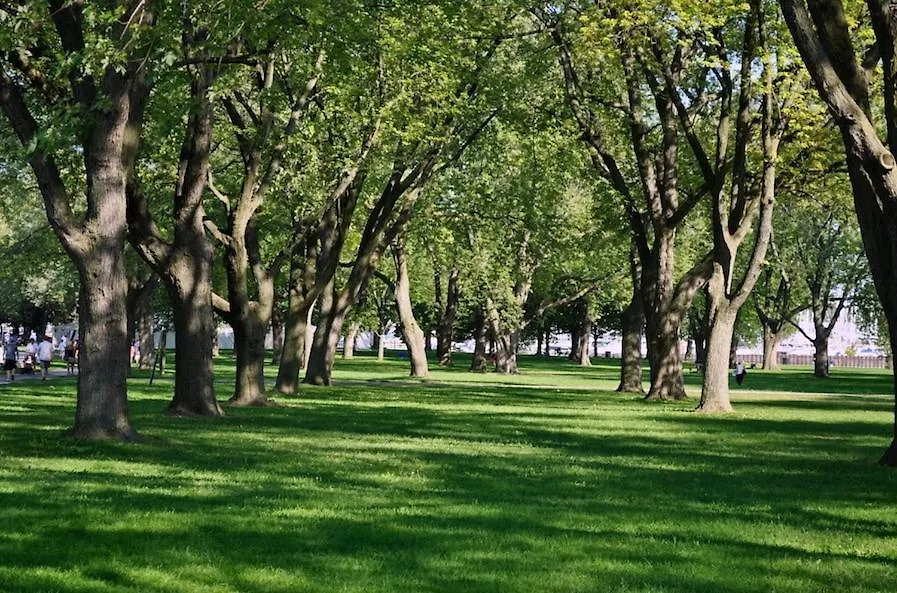 Modern 2Br Downtown Condo, Lakeshore, Exhibition Place, Fort York Toronto Apartment